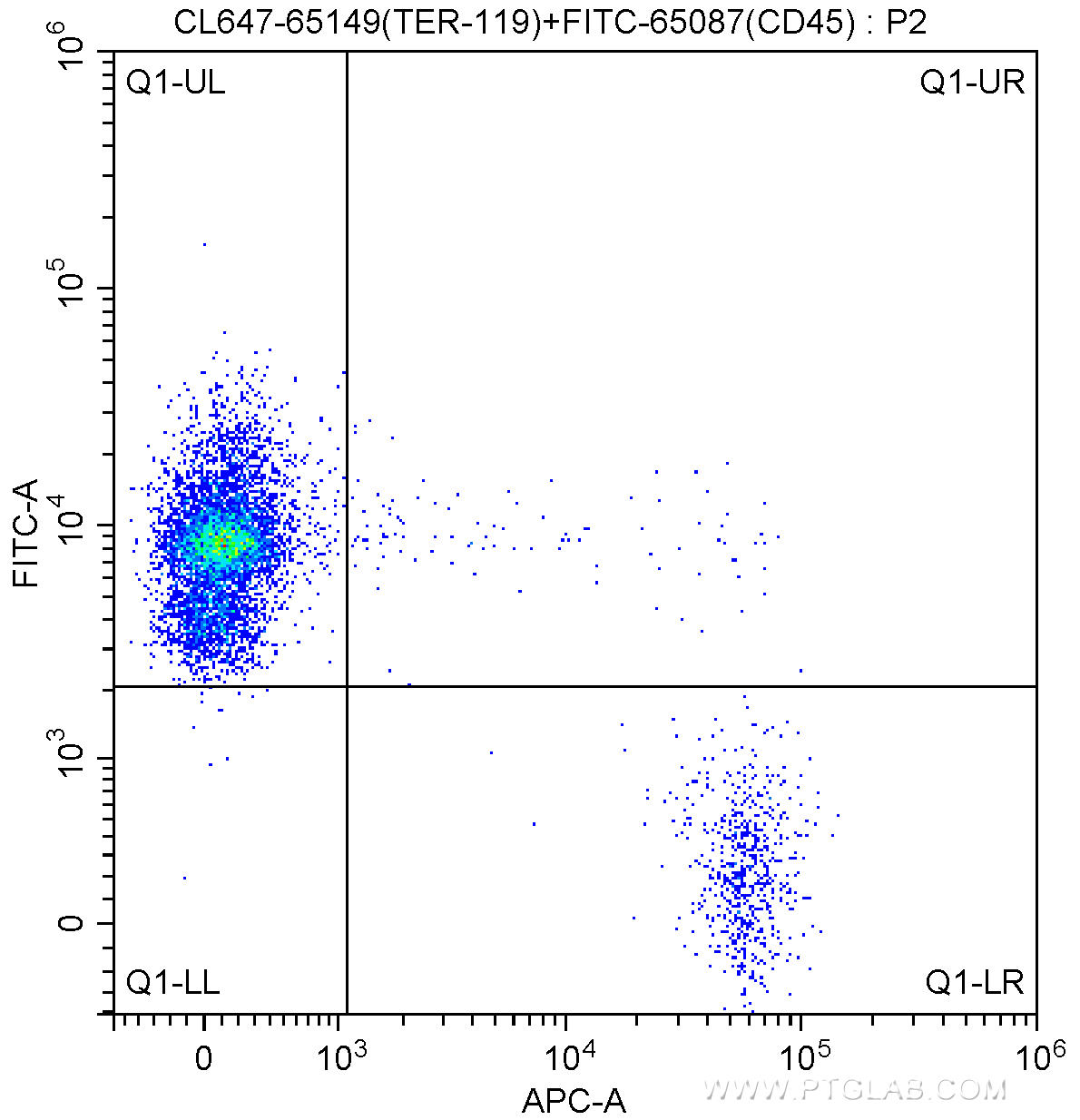 1X10^6 C57BL/6 mouse bone marrow cells were surface stained with FITC-Anti-Mouse CD45 (FITC-65087, Clone: 30-F11) and 5.00 ul CoraLite®647-conjugated Anti-Mouse TER-119 (CL647-65149, Clone: TER-119). Cells were not fixed.