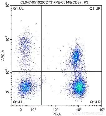 1X10^6 human peripheral blood lymphocytes were surface stained with PE-Anti-Human CD3 (PE-65148, Clone: SK7) and 5 ul CoraLite®647-conjugated Anti-Human CD73 (CL647-65162, Clone: AD2). Cells were not fixed.
