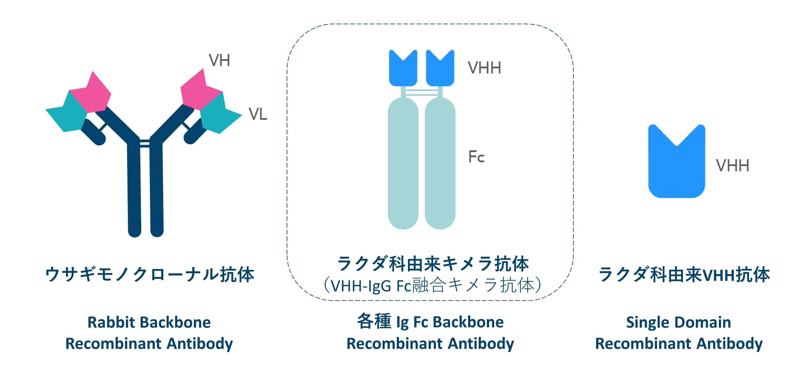 図. Ig Fc融合キメラ抗体を含むリコンビナント抗体の種類