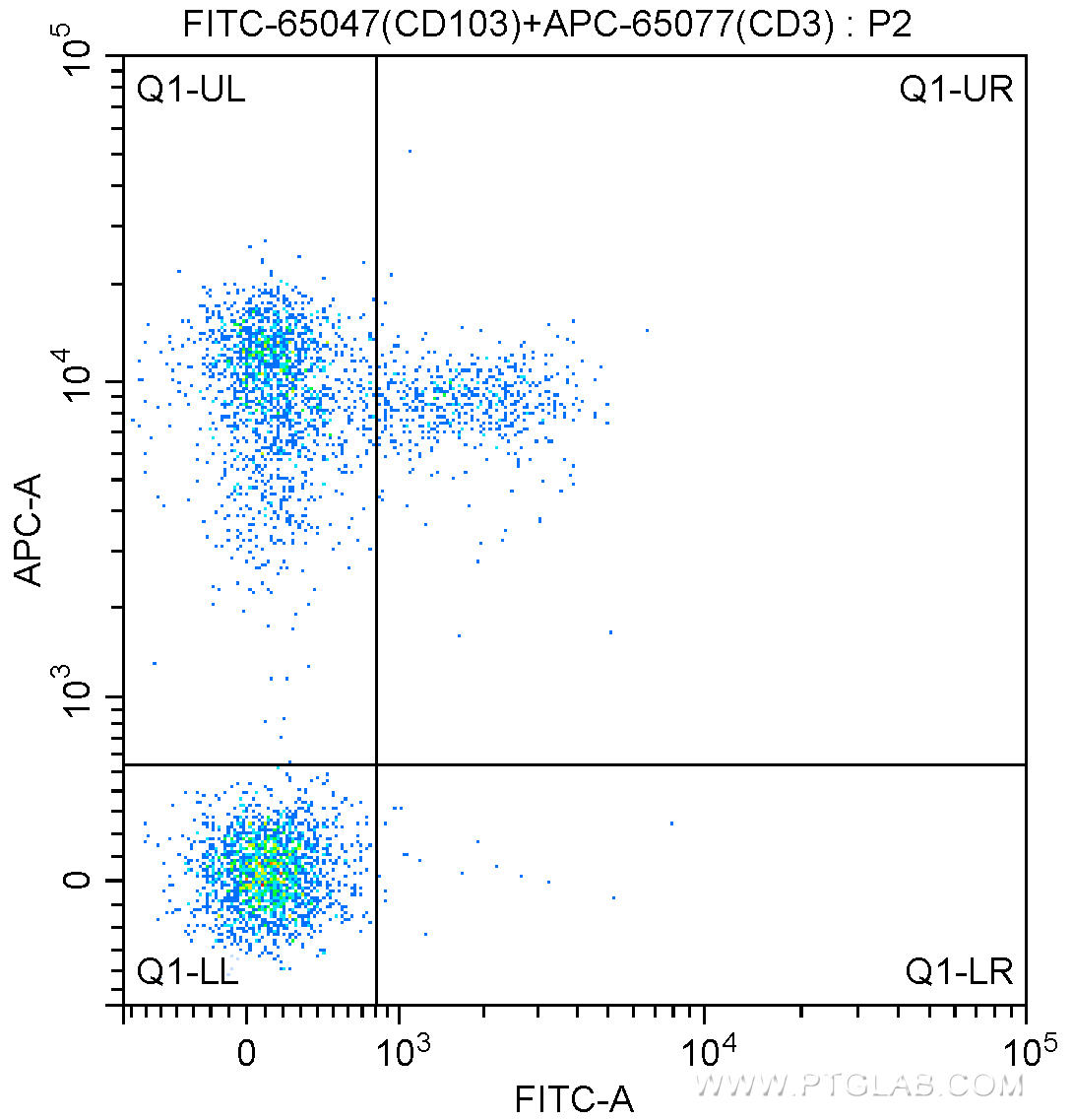 1X10^6 C57BL/6 mouse splenocytes were surface stained with APC-Anti-Mouse CD3 (APC-65077, Clone: 17A2) and 1.00 ug FITC Anti-Mouse CD103 (FITC-65047, Clone: 2E7). Cells were not fixed.