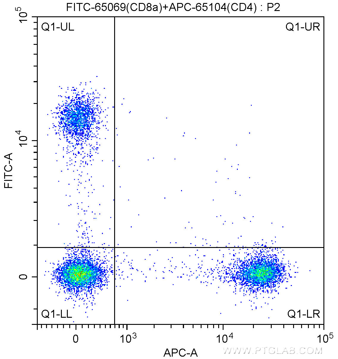 1X10^6 BALB/c mouse splenocytes were surface stained with APC-Anti-Mouse CD4 (APC-65104, Clone: GK1.5) and 0.20 ug FITC-Anti-Mouse CD8a (FITC-65069, Clone: 53-6.7). Cells were not fixed.