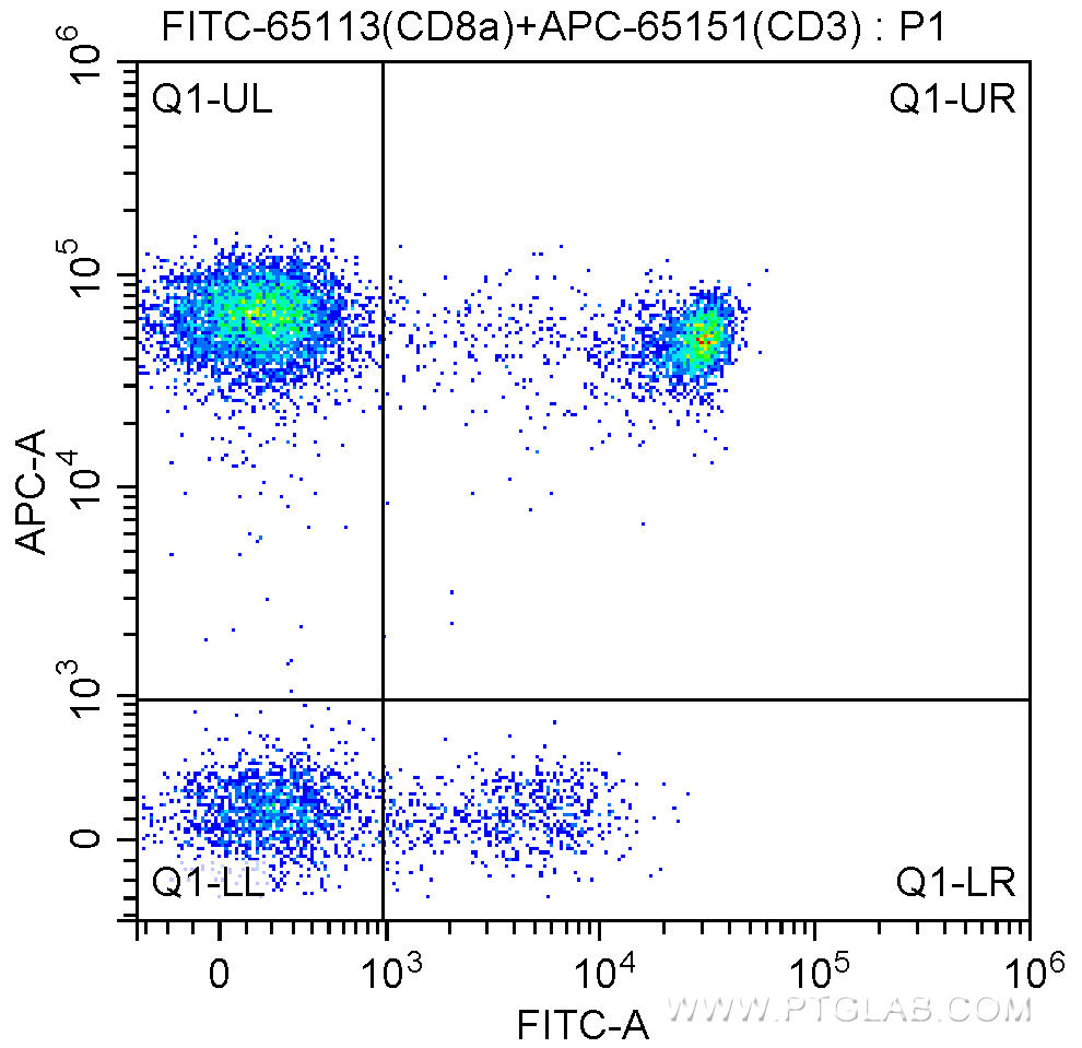1X10^6 human peripheral blood lymphocytes were surface stained with APC Anti-Human CD3 (APC-65151, Clone: UCHT1) and 5.00 ul FITC Anti-Human CD8a (FITC-65113, Clone: Hit8a). Cells were not fixed.