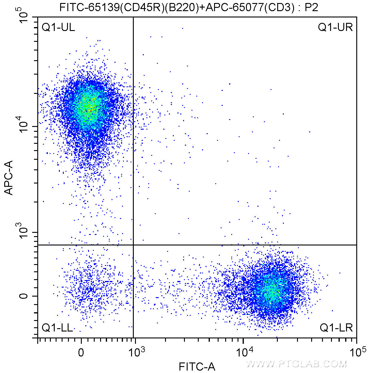 1X10^6 C57BL/6 mouse splenocytes were surface stained with APC-Anti-Mouse CD3 (APC-65077, Clone: 17A2) and 0.25 ug FITC Anti-Mouse CD45R (B220) (FITC-65139, Clone: RA3-6B2). Cells were not fixed.