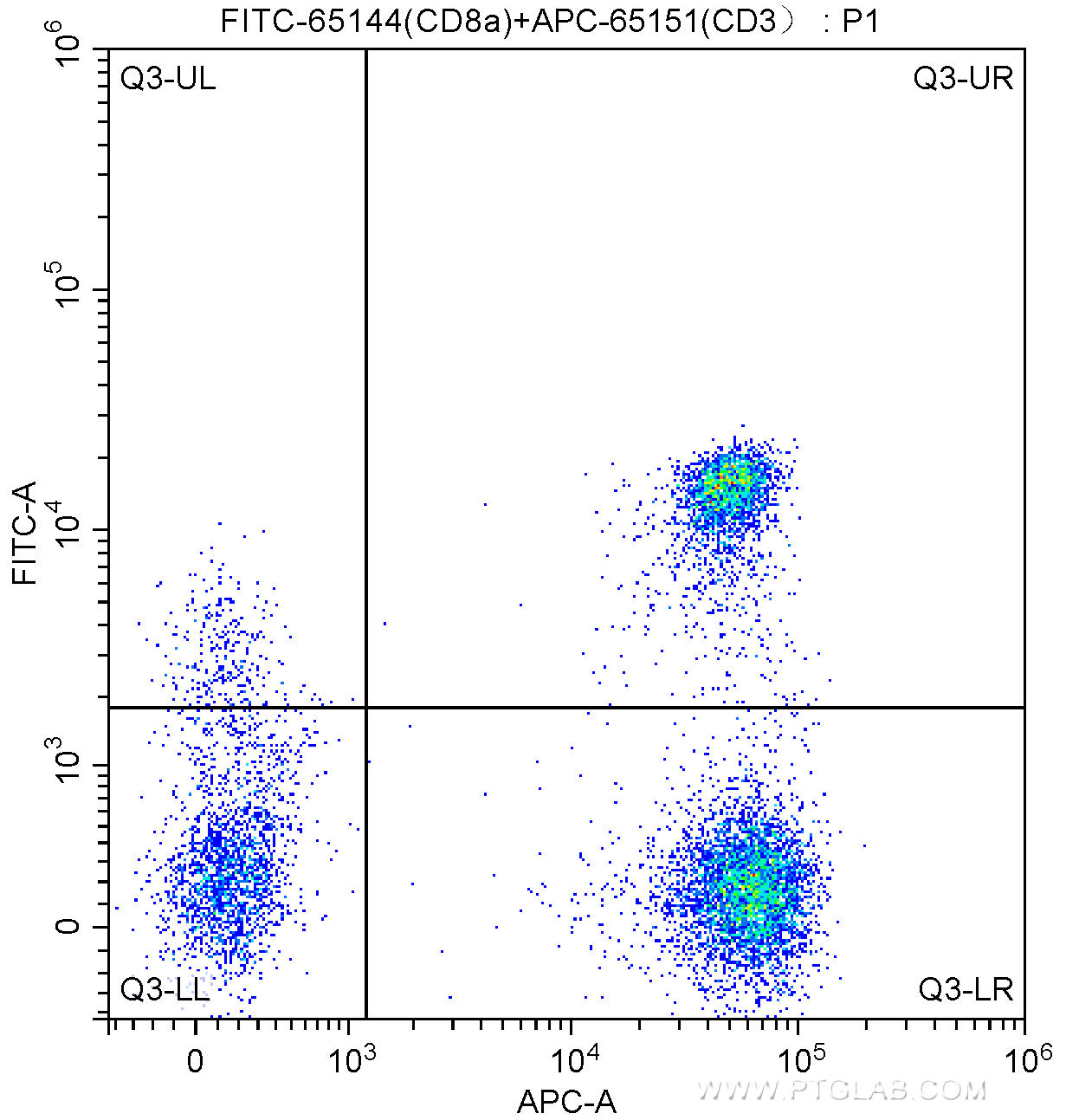100 ul human peripheral blood were surface stained with APC Anti-Human CD3 (APC-65151, Clone: UCHT1) and 5.00 ul FITC Anti-Human CD8a (FITC-65144, Clone: RPA-T8). Lymphocytes were gated for analysis. Cells were not fixed.