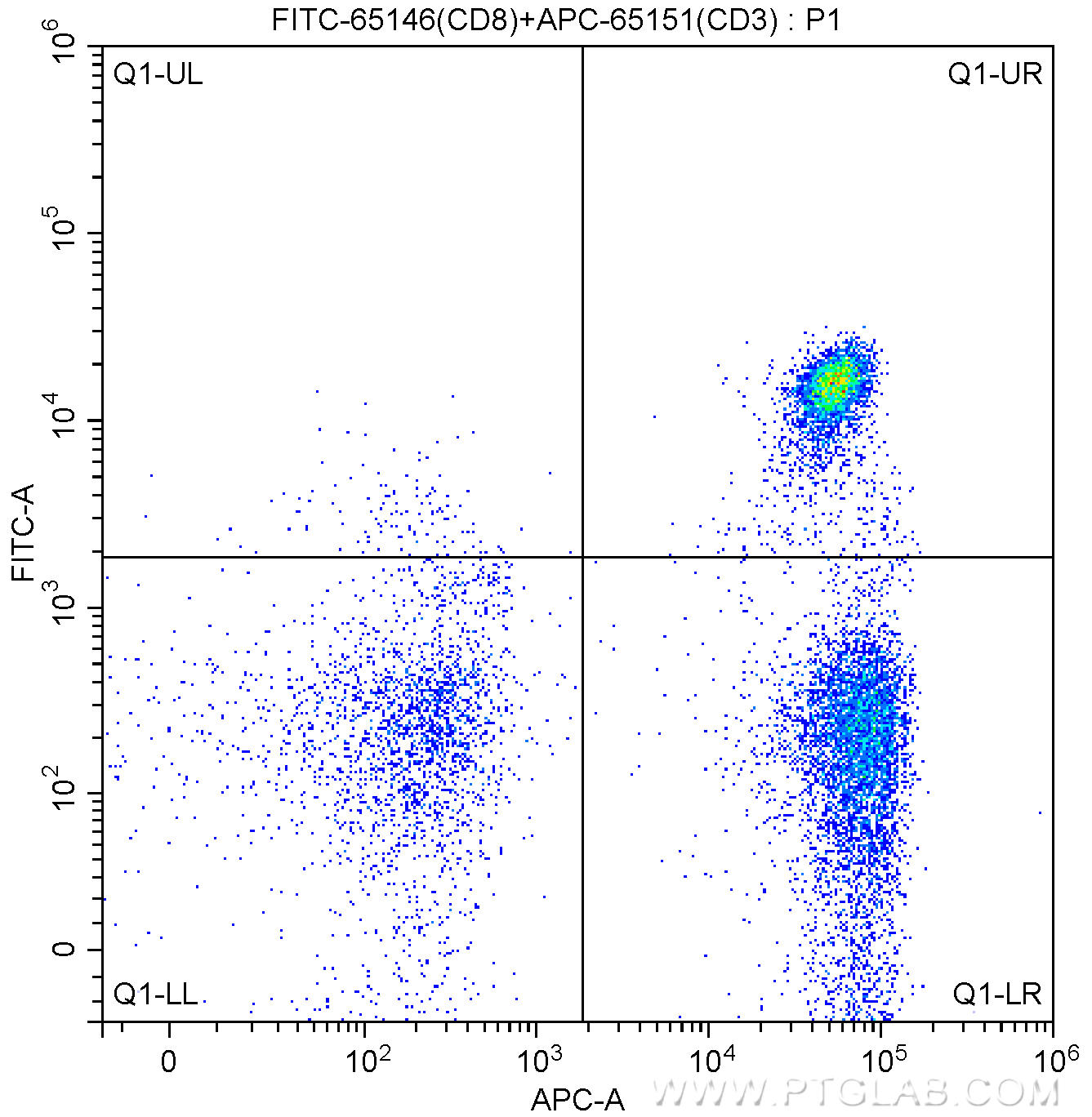 1X10^6 human peripheral blood lymphocytes were surface stained with 5.00 ul/test APC-anti-human CD3 (APC-65151, Clone: UCHT1) and 5.00 ul/test FITC-anti-human CD8 (FITC-65146, Clone: SK1). Samples were not fixed.
