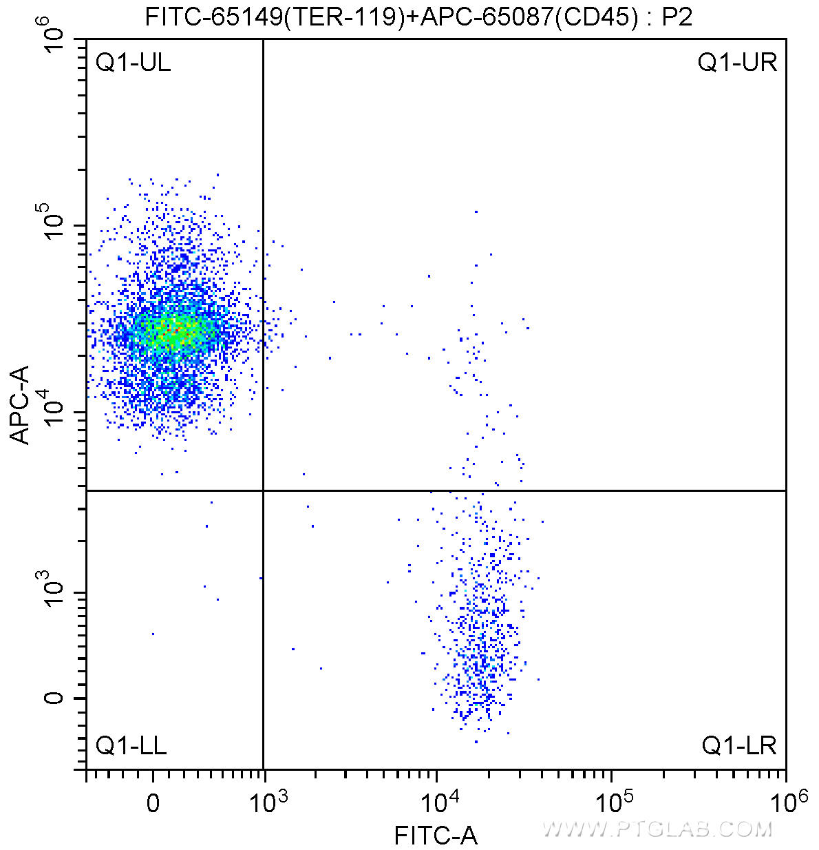 1X10^6 C57BL/6 mouse bone marrow cells were surface stained with APC-Anti-Mouse CD45 (APC-65087, Clone: 30-F11) and 0.10 ug FITC Anti-Mouse TER-119 (FITC-65149, Clone: TER-119). Cells were not fixed.