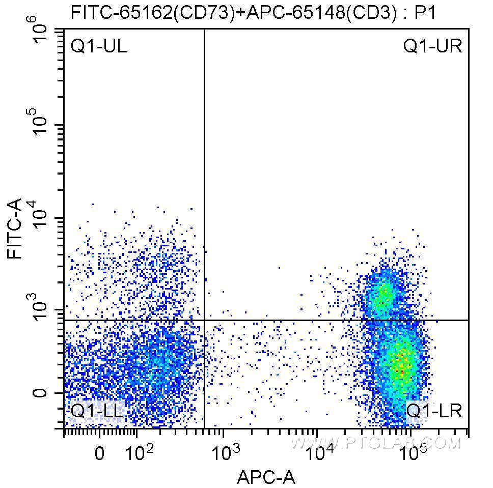 1X10^6 human peripheral blood lymphocytes were surface stained with APC-Anti-Human CD3 (APC-65148, clone SK7) and 4.00 ul/test FITC Anti-Human CD73 (FITC-65162, Clone:AD2). Samples were not fixed.