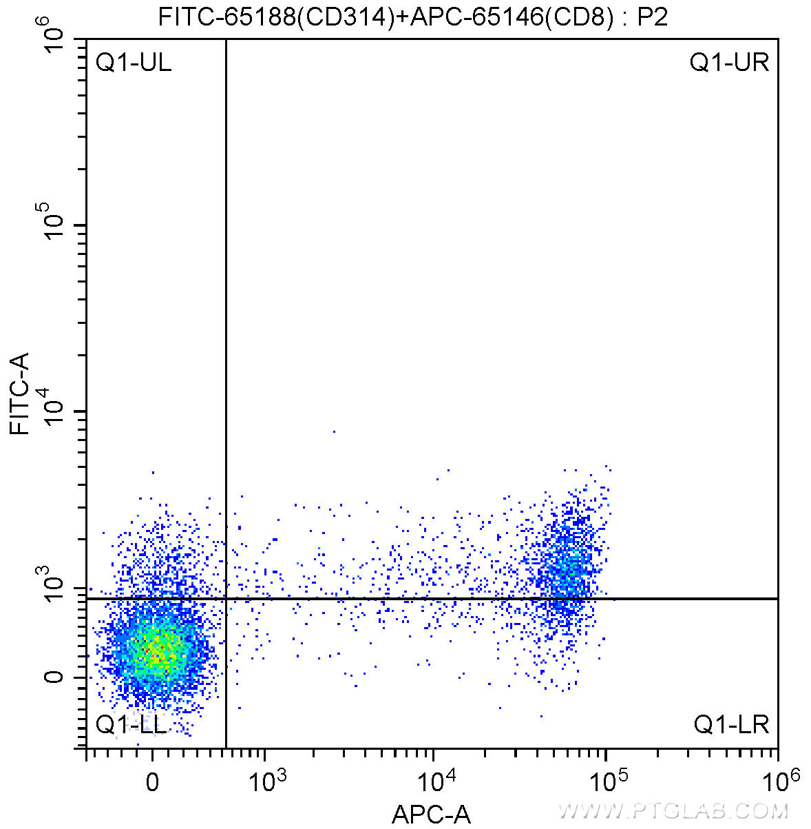 1X10^6 human peripheral blood lymphocytes were surface stained with APC Anti-Human CD8 (APC-65146, Clone: SK1) and 4 ul FITC Anti-Human CD314 (FITC-65188, Clone: 1D11). Cells were not fixed.