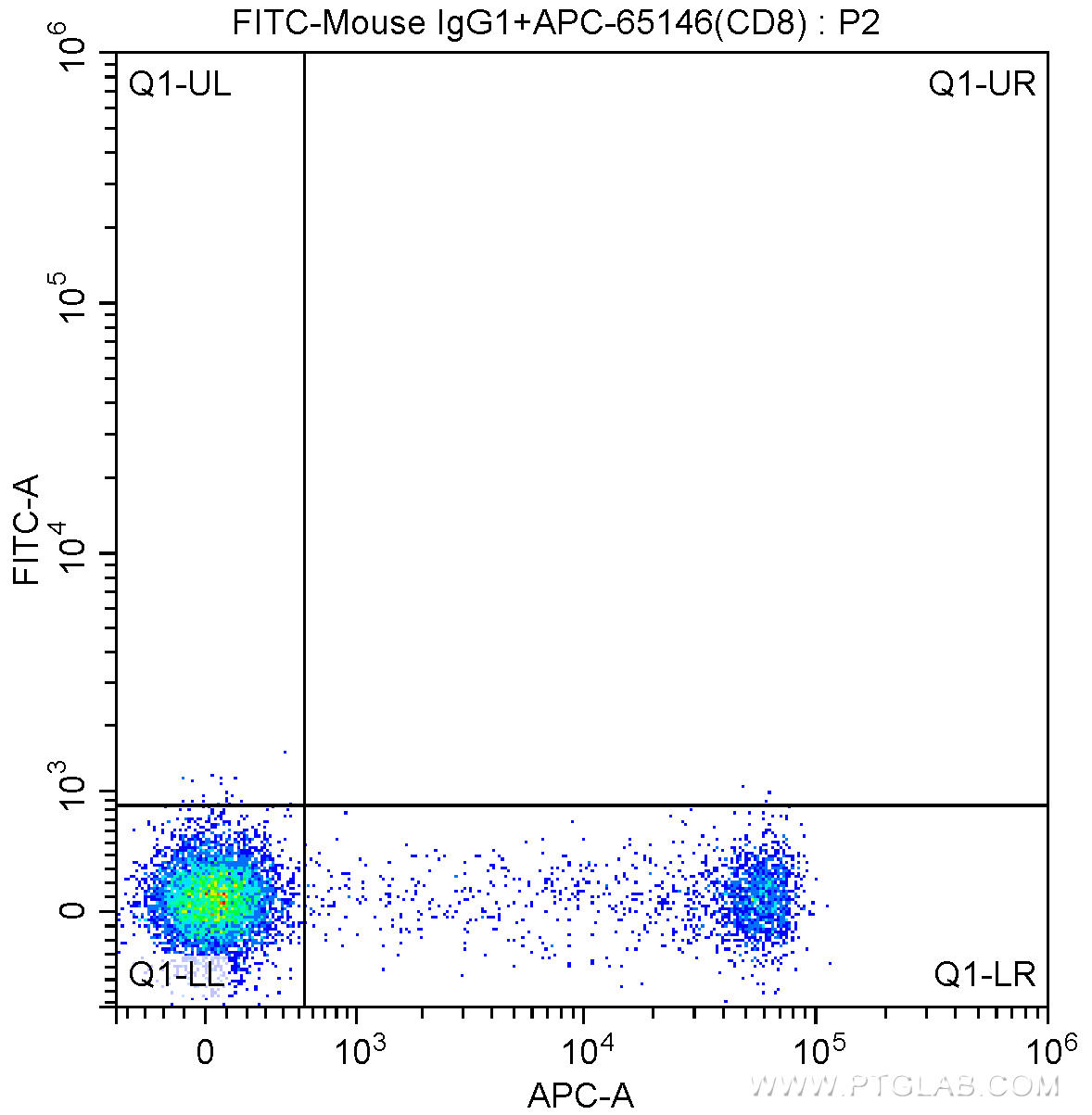 1X10^6 human peripheral blood lymphocytes were surface stained with APC Anti-Human CD8 (APC-65146, Clone: SK1) and FITC-Mouse IgG1 isotype control. Cells were not fixed.
