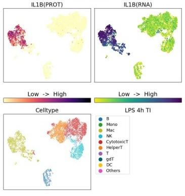 MultiPro(マルチプロ)Human Discovery Panelを用いたIL-1 Beta(サイトカイン)解析データ