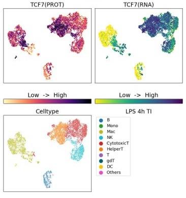 MultiPro(マルチプロ)Human Discovery Panelを用いたTCF7(転写因子)解析データ