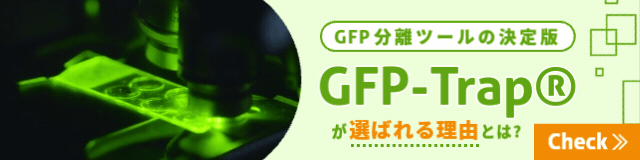 GFP分離ツールの決定版GFP-Trapが選ばれる理由とは?