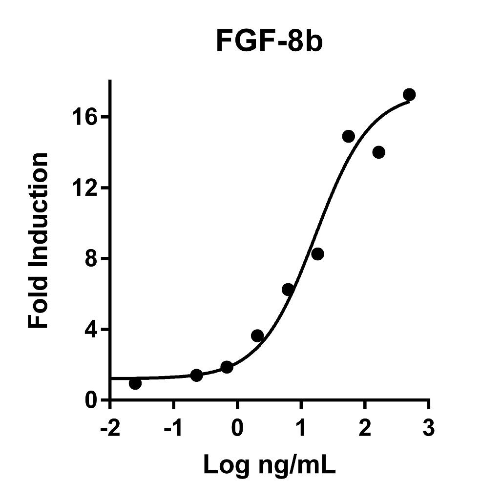 The activity was determined by the dose-dependent stimulation of the proliferation of the Balb/3T3 cell line using the Promega CellTiter96® Aqueous Non-Radioactive Cell Proliferation Assay.