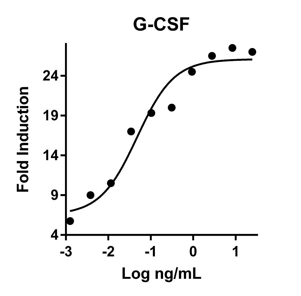 The activity was determined by the dose-dependent stimulation of the proliferation of murine M-NFS-60 cells (Mouse Myeloid Leukemia indicator cell line) using Promega CellTiter96® Aqueous Non-Radioactive Cell Proliferation Assay.