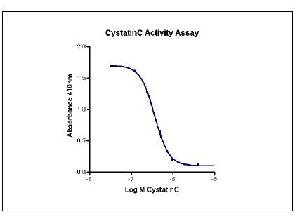 The inhibitory function of Cystatin C on papin’s protease activity was measured by a colorimetric assay using L-BAPA as substrate. IC50 value was measured at 5 to 20 μg/mL (0.3 to 1.5 μM) with a range of 1.56μg/mL to 50μg/mL Cystatin C in presence of 0.55μM papain and 0.44μM L-BAPA.