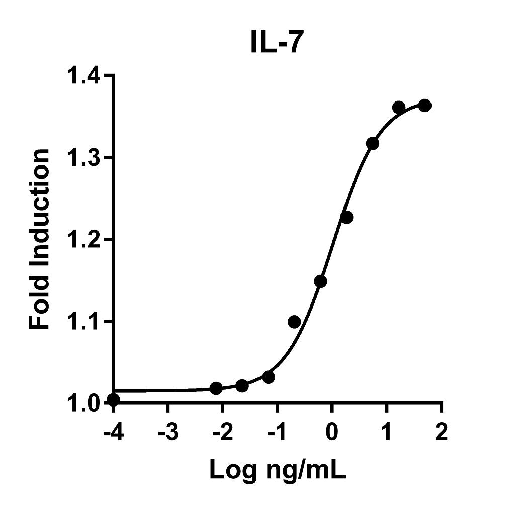The specific activity was determined by the dose-dependent stimulation of the proliferation of murine 2E8 cells using Promega CellTiter96® Aqueous Non-Radioactive Cell Proliferation Assay.