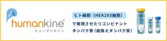 �q���[�}���J�C�����R���r�i���g�^���p�N��