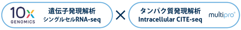 10X Genomics��`�q������͂�MultiPro�^���p�N���������
