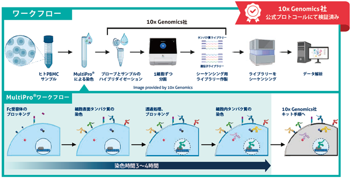 10x Genomics社公式プロトコールにて検証済み MultiPro(マルチプロ)のワークフロー
