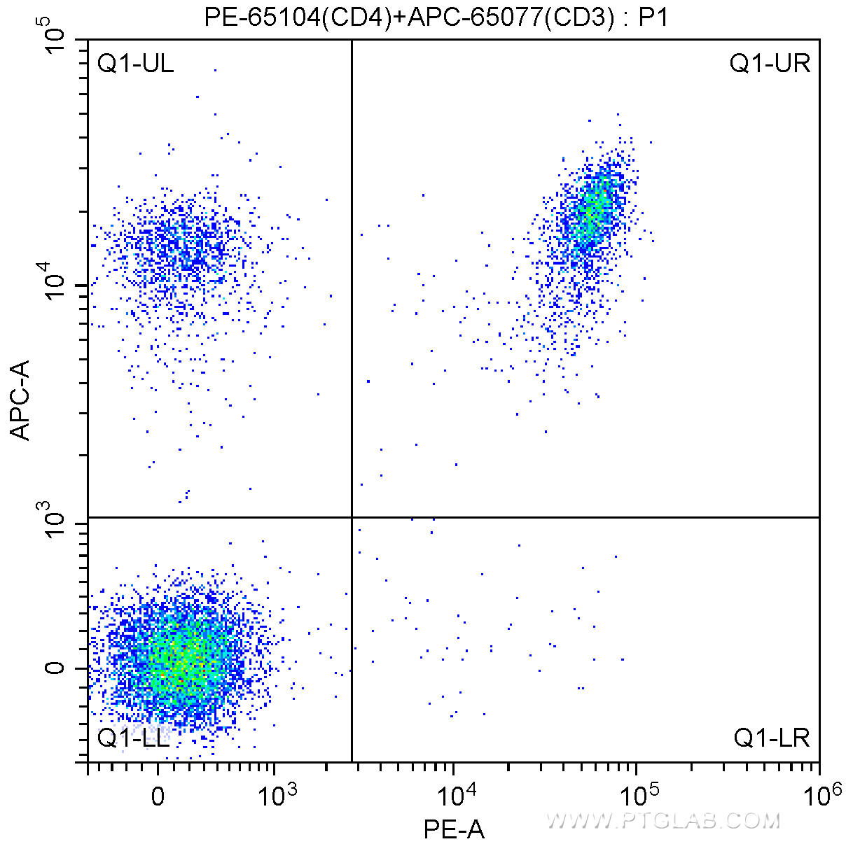 1X10^6 C57BL/6 mouse splenocytes were surface stained with APC-Anti-Mouse CD3 (APC-65077, Clone: 17A2) and 0.13 ug PE Anti-Mouse CD4 (PE-65104, Clone: GK1.5). Cells were not fixed.