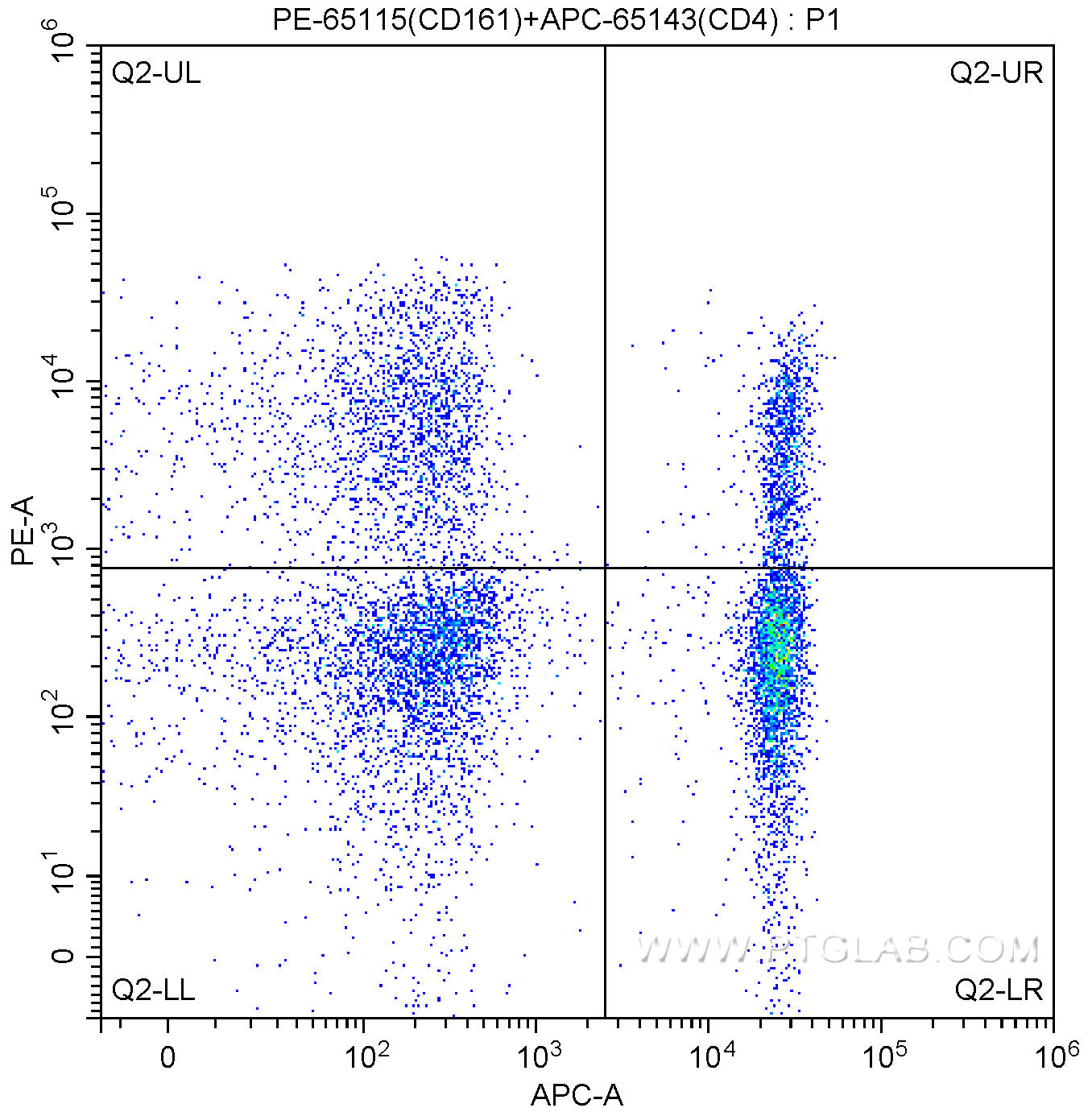1X10^6 human peripheral blood lymphocytes were surface stained with 5.00 ul/test APC-Anti-Human CD4 (APC-65143, Clone:RPA-T4) and 5.00 ul/test PE-Anti-Human CD161 (PE-65115, Clone:HP-3G10). Samples were not fixed.