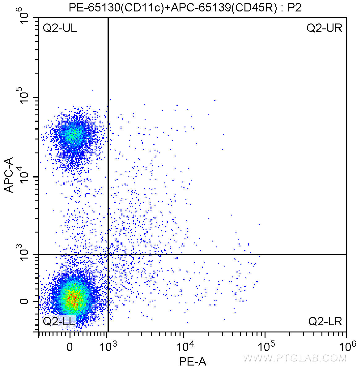 1X10^6 mouse splenocytes were surface stained with APC Anti-Mouse CD45R (B220) (APC-65139, Clone: RA3-6B2) and 0.25 ug PE Anti-Mouse CD11c (PE-65130, Clone: N418). Samples were not fixed.
