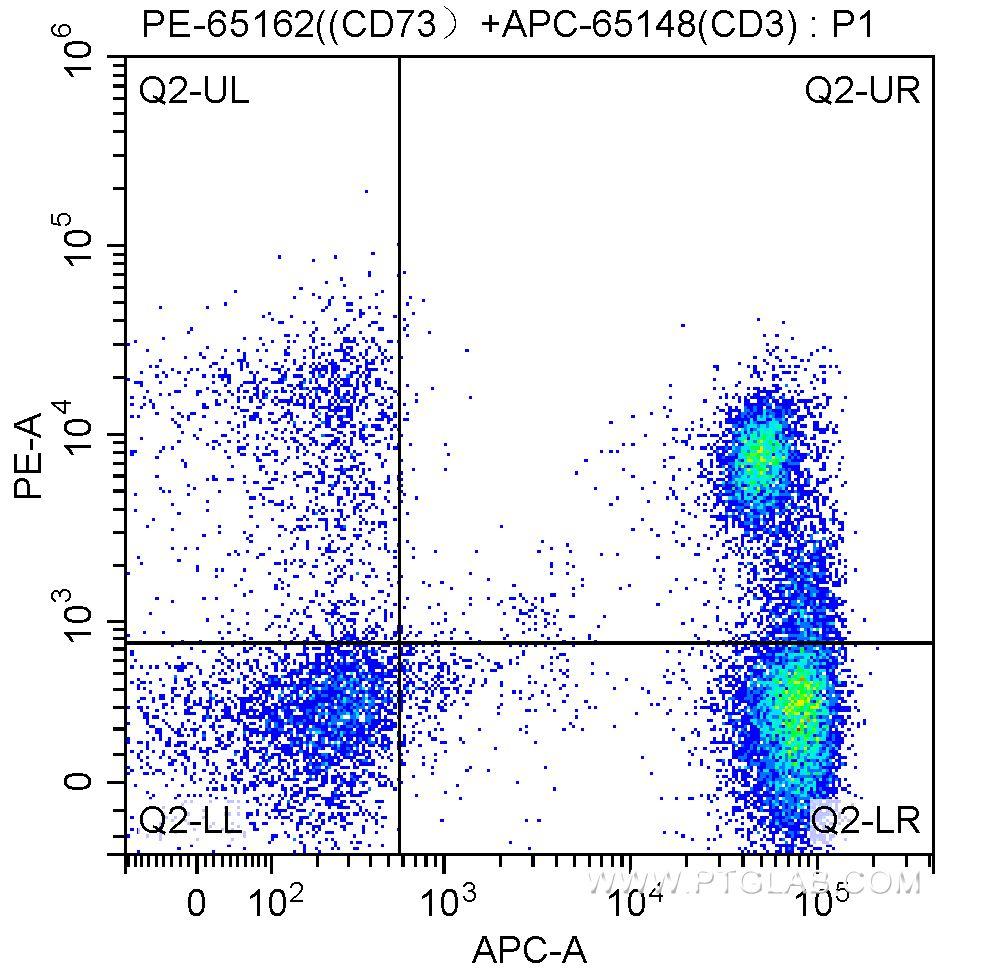 1X10^6 human peripheral blood lymphocytes were surface stained with APC-Anti-Human CD3 (APC-65148, clone SK7) and 10.00 ul/test PE-Anti-Human CD73 (PE-65162, Clone:AD2). Samples were not fixed.