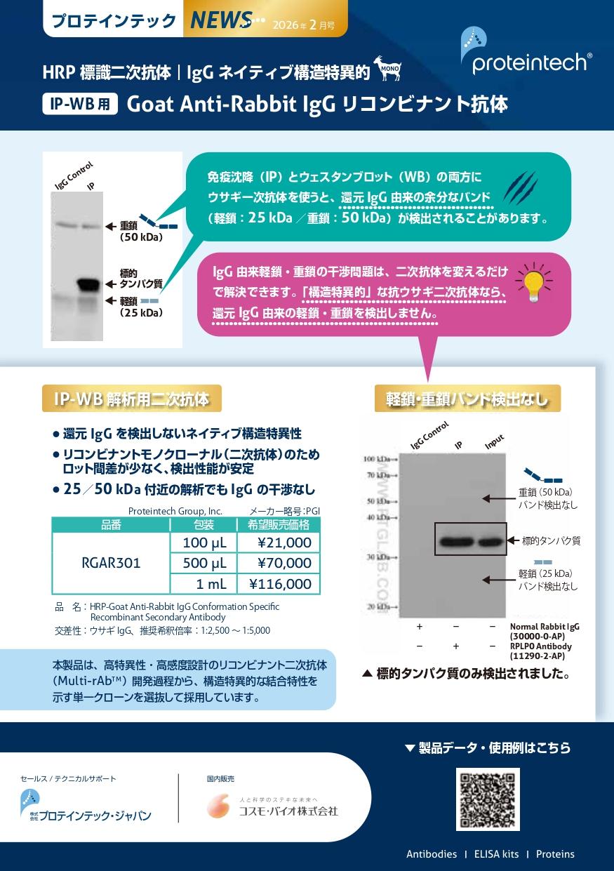 14235_PGI_HRP�W�� �R�E�T�MIgG �񎟍R��A5�`���V�\���摜