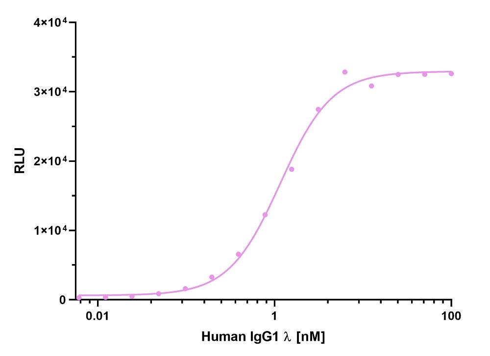 ELISA capture of a human IgG1 lambda antibody using Nano-CaptureLigand human Ig, lambda-LC-specific VHH, biotinylated. 50 nM Nano-CaptureLigand human Ig, lambda-LC-specific VHH, biotinylated was used for coating on an avidin-coated MaxiSorp plate. Human IgG1 lambda antibody was titrated in a 1:2 dilution series and detected with an alkaline phosphatase-conjugated detection antibody.