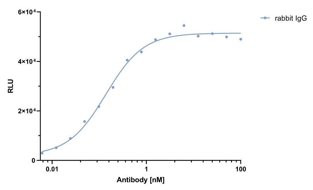 ELISA capture of a rabbit IgG antibody using Nano-CaptureLigand human IgG/rabbit IgG, Fc-specific VHH, biotinylated. 50 nM Nano-CaptureLigand human IgG/rabbit IgG, Fc-specific VHH, biotinylated was used for coating on an avidin-coated MaxiSorp plate. Rabbit IgG antibody was titrated in a 1:2 dilution series and detected with an alkaline phosphatase-conjugated detection antibody.