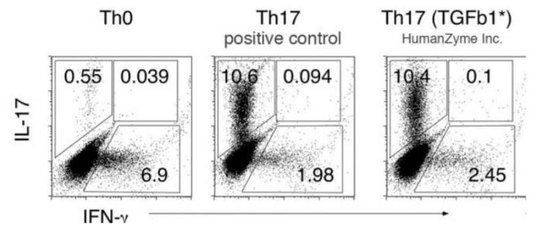 HumanKine® TGFβ1̐