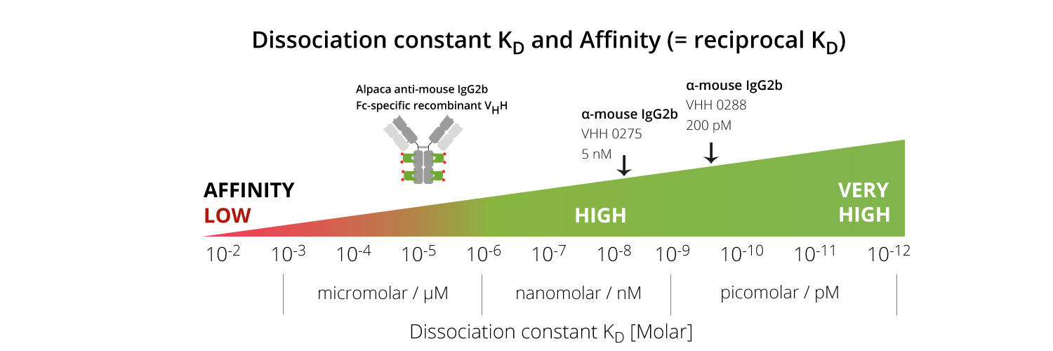 図. 抗IgG2b抗体（アルパカ由来VHH抗体）の解離定数（KD）［Molar］
