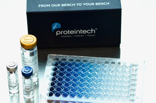 Proteintech（プロテインテック）のELISAキット