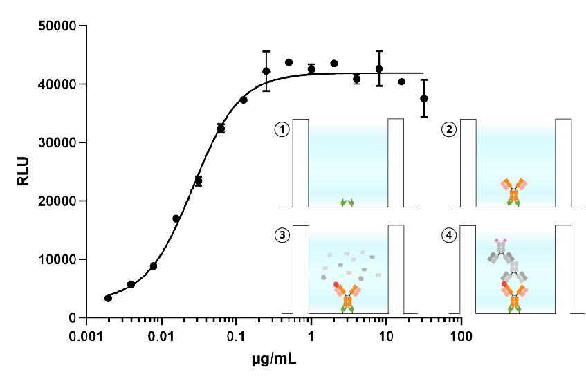 図6. Nano-CaptureLigand™ を使用した抗体のELISAキャプチャー。（1）Nano-CaptureLigand™ をコーティング（2）キャプチャー抗体の固定化（3）抗原抗体反応（4）検出抗体の添加