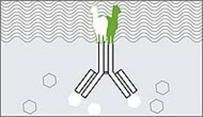 Nano-CaptureLigand