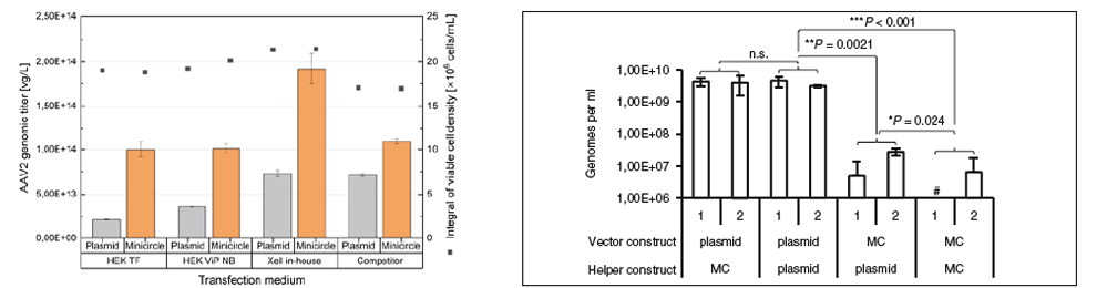 PLF_minicircle_dna_manufacturing_service_fig2.png