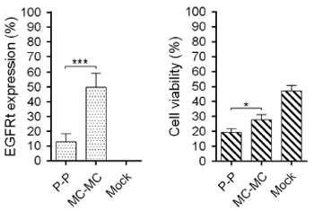 PLF_minicircle_dna_manufacturing_service_fig3.png