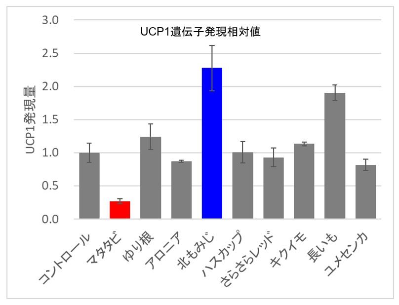 PMC_UCP1_assay_service_03.jpg