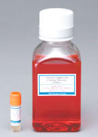 PMC_VAC01_1.jpg