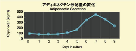 Changes in adiponectin secretion