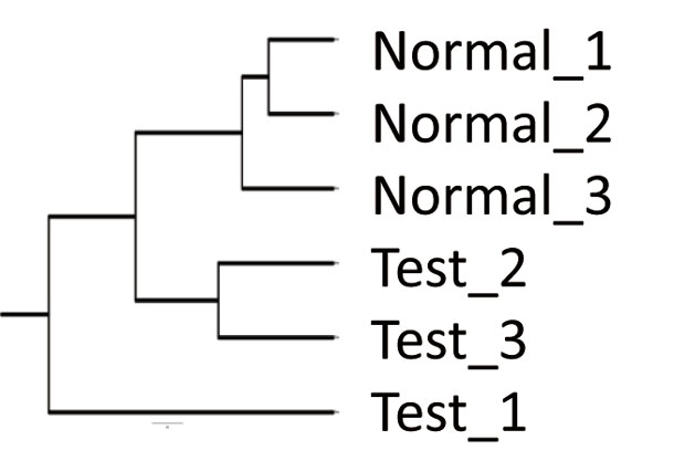 βl3