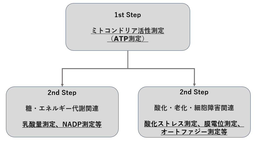 next step