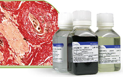 Picrosirius Red Stain Kit