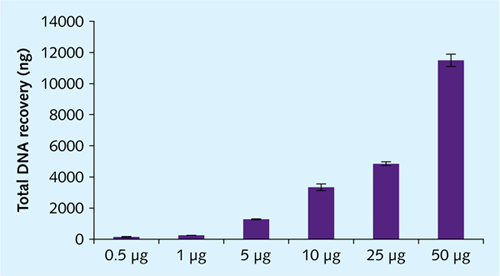 DNA Zxi0.5-50 µgjƂ̃g[^ DNA ingj