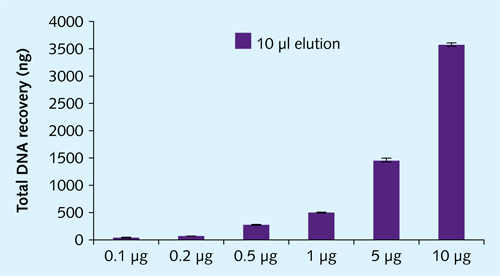 DNA Zxi0.1-5 µgjƂ̃g[^ DNA ingj