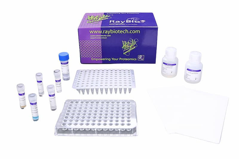 RBT_NexaTag_qIPCR_ELISA_01.jpg