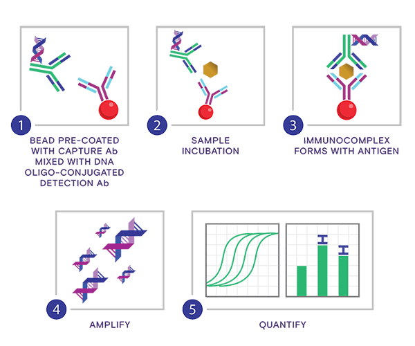 RBT_NexaTag_qIPCR_ELISA_01.png