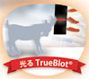 TrueBlot®L܂I