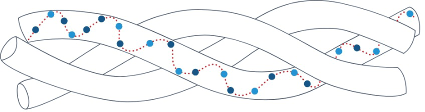 RKL_collagen-helical-structure