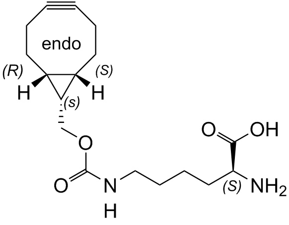 BCN_endo iSC-8014j	